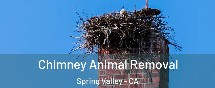 Chimney Animal Removal Spring Valley - CA