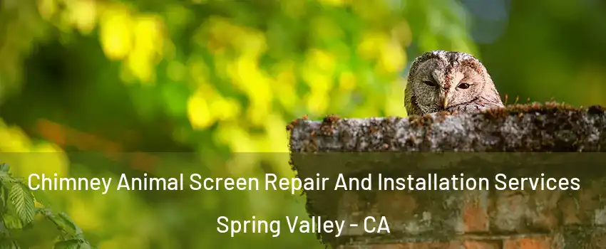  Chimney Animal Screen Repair And Installation Services Spring Valley - CA