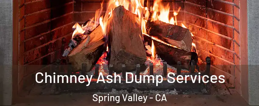  Chimney Ash Dump Services Spring Valley - CA