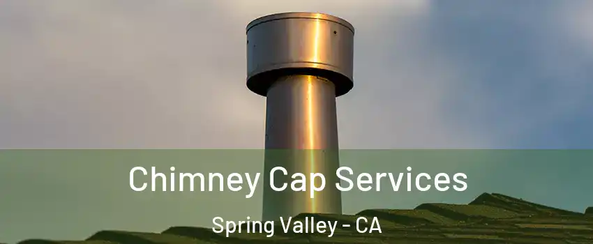  Chimney Cap Services Spring Valley - CA