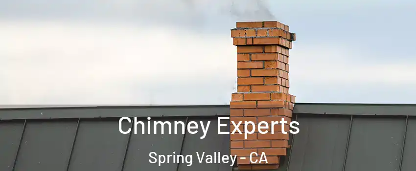 Chimney Experts Spring Valley - CA