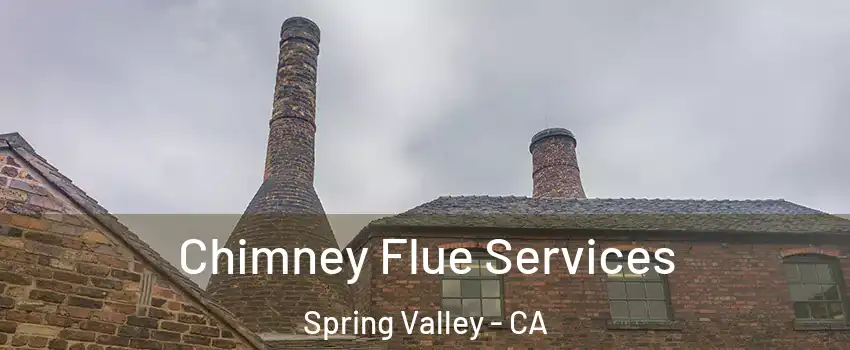  Chimney Flue Services Spring Valley - CA
