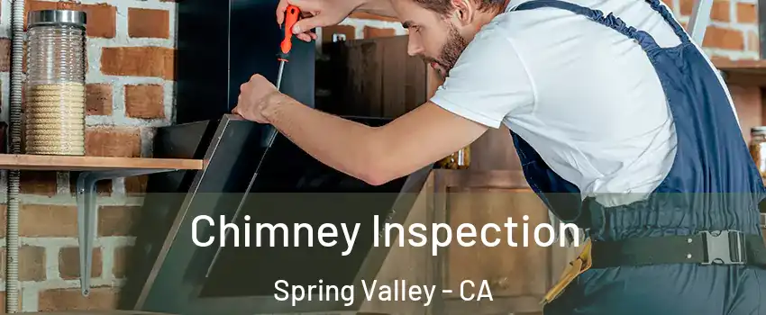  Chimney Inspection Spring Valley - CA