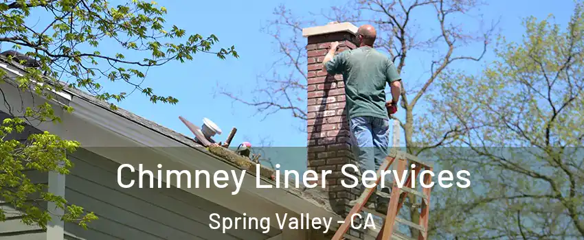  Chimney Liner Services Spring Valley - CA