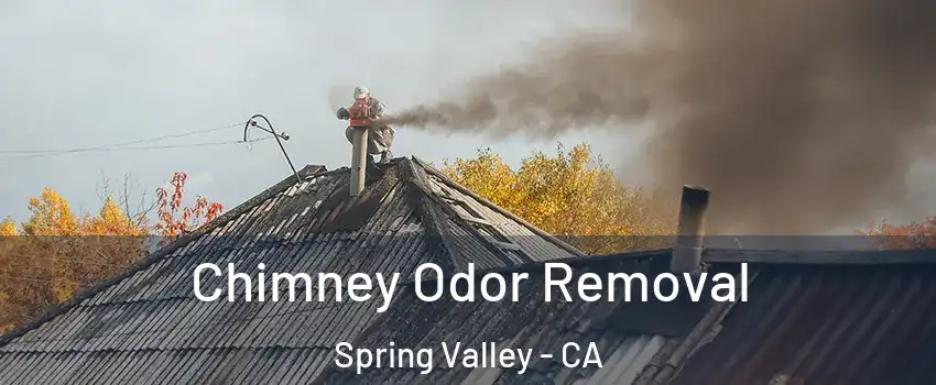 Chimney Odor Removal Spring Valley - CA