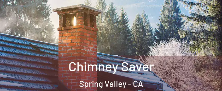 Chimney Saver Spring Valley - CA