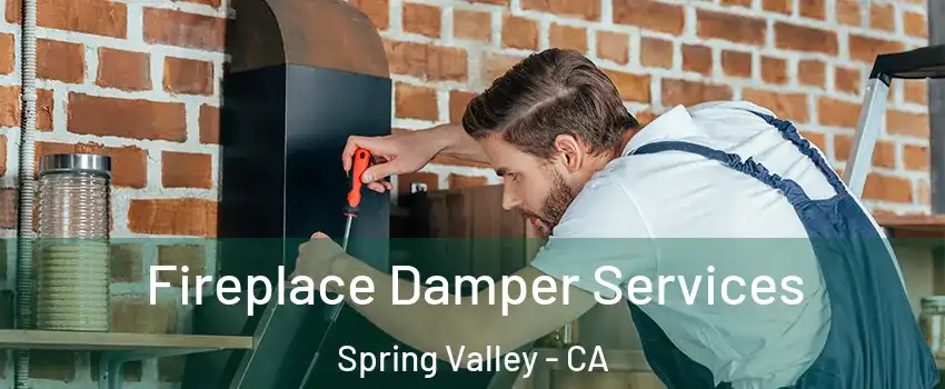  Fireplace Damper Services Spring Valley - CA