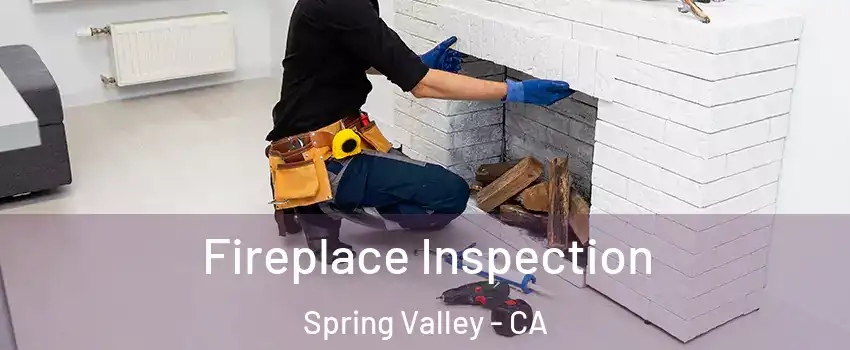  Fireplace Inspection Spring Valley - CA