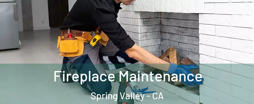  Fireplace Maintenance Spring Valley - CA