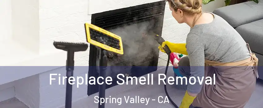  Fireplace Smell Removal Spring Valley - CA