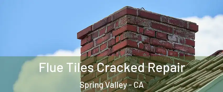  Flue Tiles Cracked Repair Spring Valley - CA