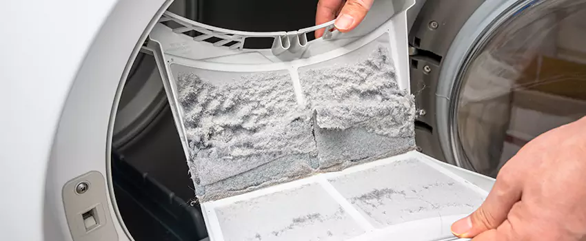 Best Dryer Lint Removal Company in Spring Valley, California