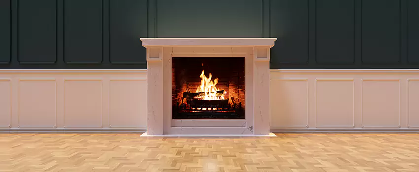Napoleon Electric Fireplaces Inspection Service in Spring Valley, California