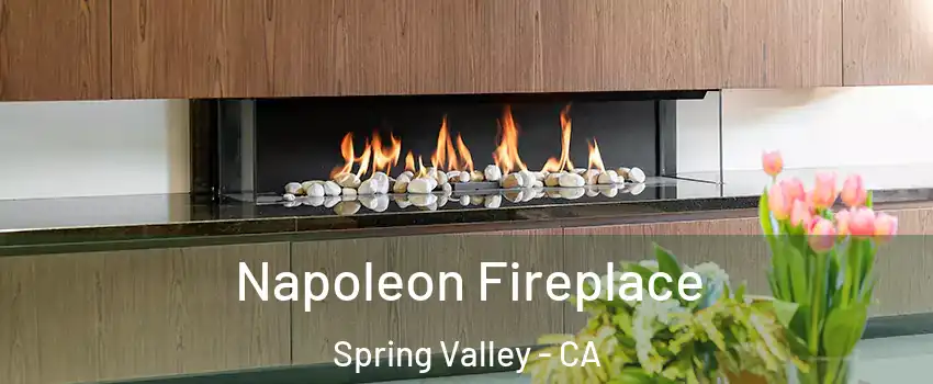  Napoleon Fireplace Spring Valley - CA