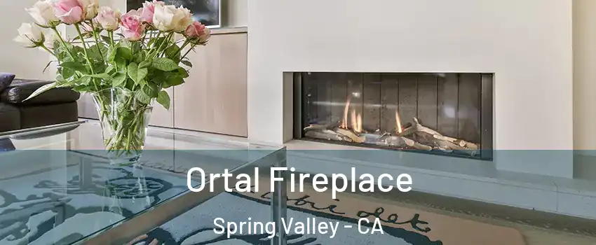 Ortal Fireplace Spring Valley - CA