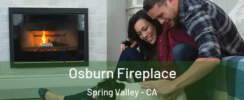  Osburn Fireplace Spring Valley - CA