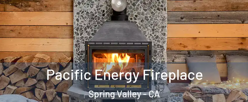  Pacific Energy Fireplace Spring Valley - CA
